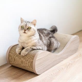 Product photo 4