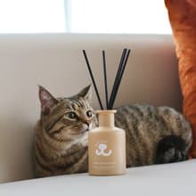 Product photo 3