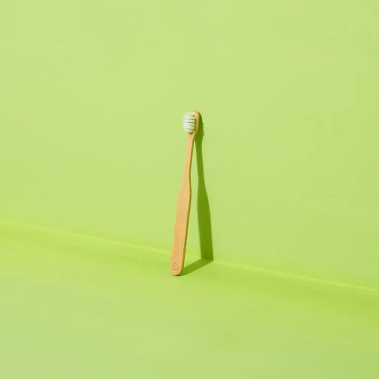 Child Soft Bristles