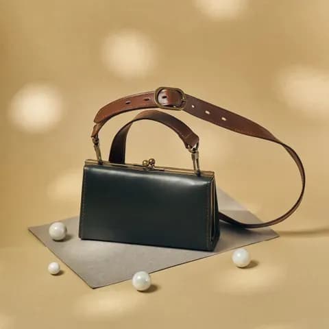 Clasp Case Bag - Holly Green