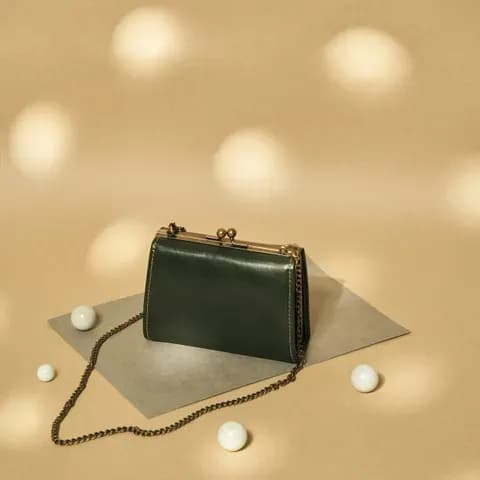 Small Clasp Case Bag