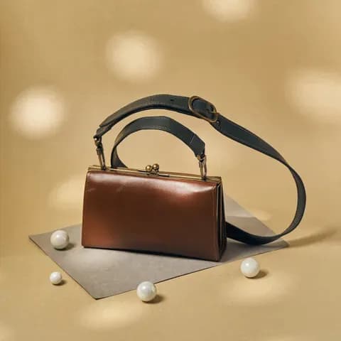 Clasp Case Bag - Pine Cone Brown