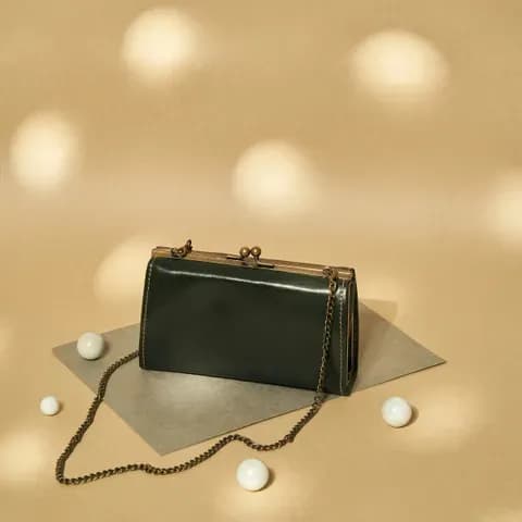 Clasp Case Bag