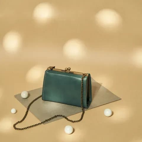 Small Clasp Case Bag - Teal