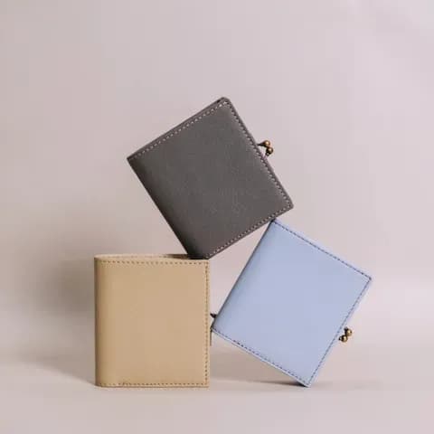 Mini Clasp Wallet