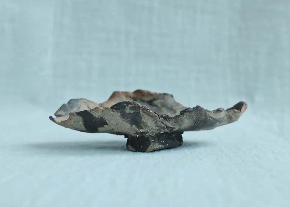 Artist Edition - LEAF 01 Incense Holder