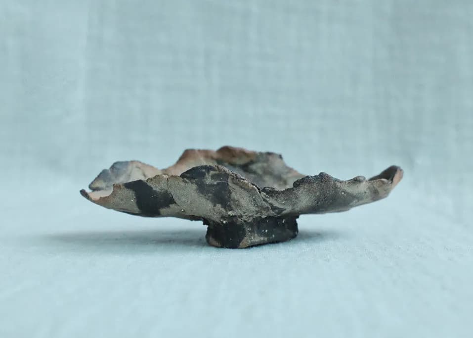 Artist Edition - LEAF 01 Incense Holder