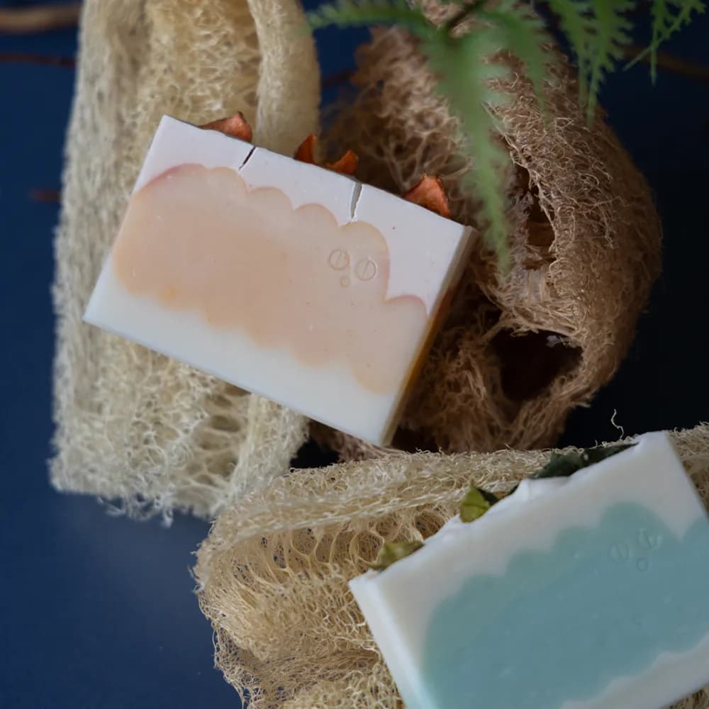 Fruit and Vegetable Peel Handmade Soap