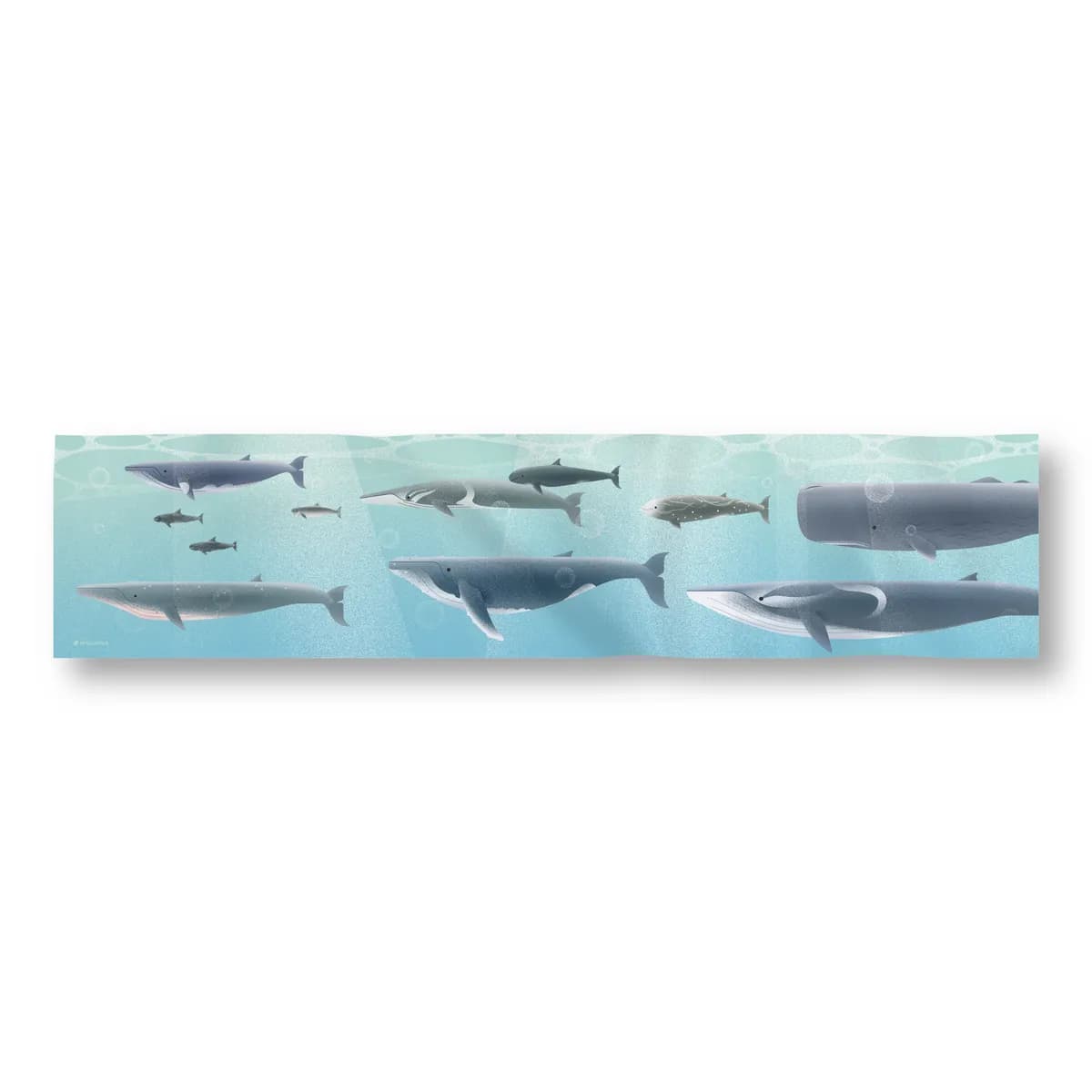 Whale Functional Cooling Towel