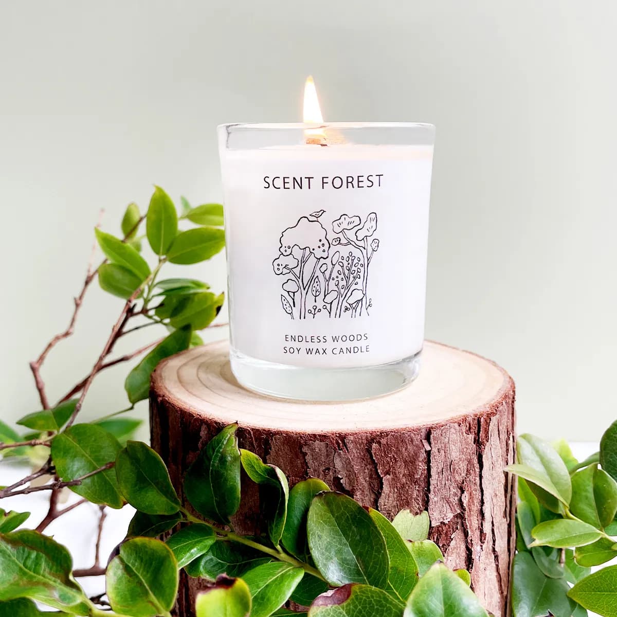 點燃的白色玻璃蠟燭放在樹幹切面上,瓶身印有 SCENT FOREST 與森林線稿,周圍環繞綠色枝葉。