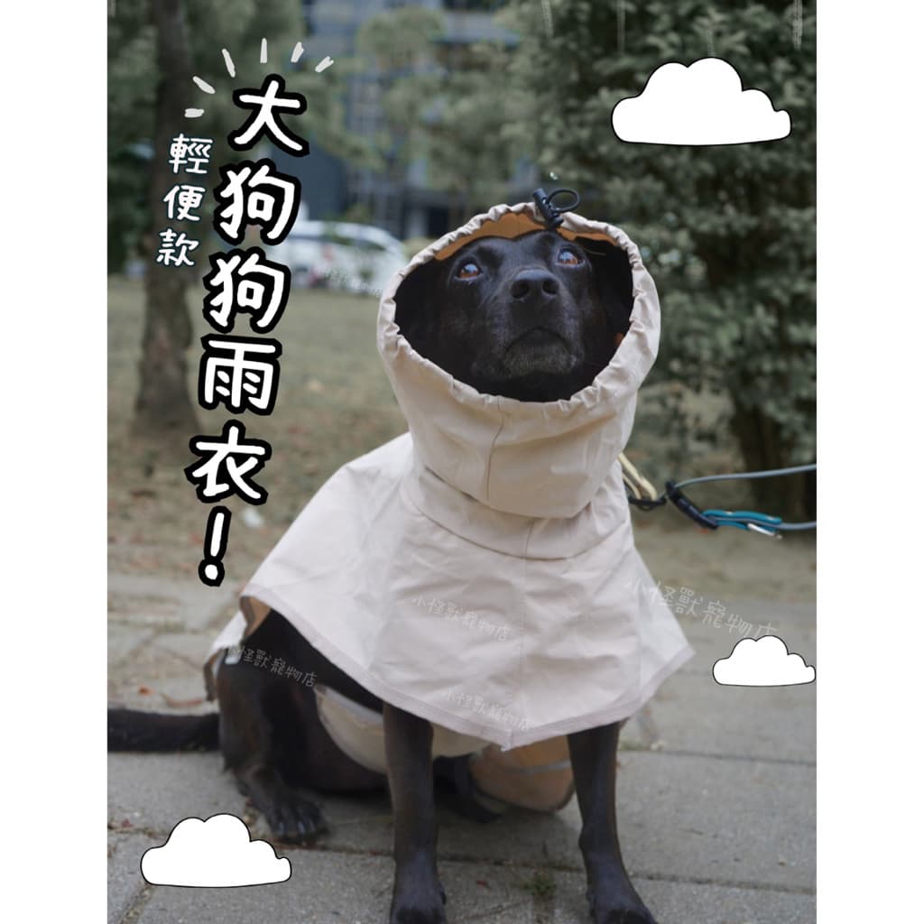 小怪獸寵物店 My Beast