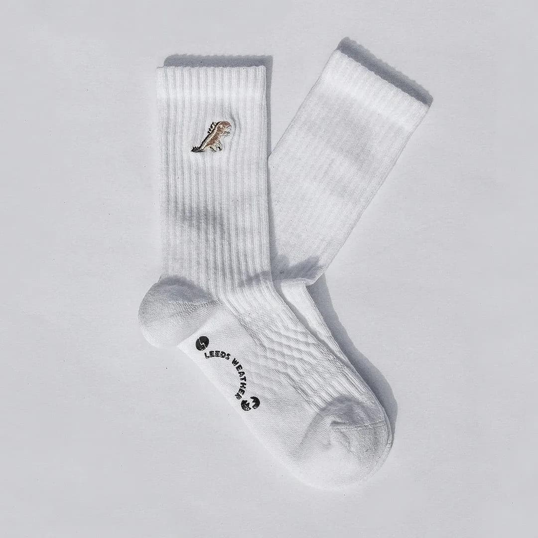 LEEDS WEATHER 產品 1